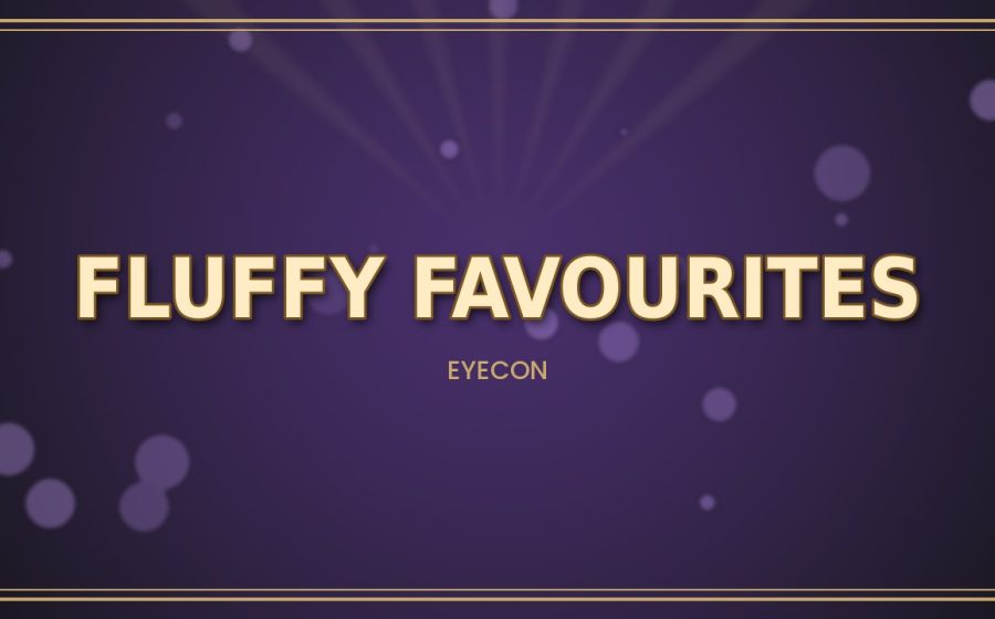 Fluffy Favourites